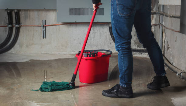 Best Flood restoration services  in Mount Olive, MS
