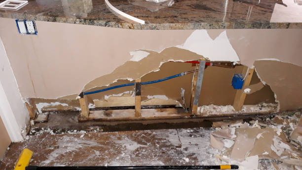 Best Sewage cleanup and water damage restoration  in Mount Olive, MS