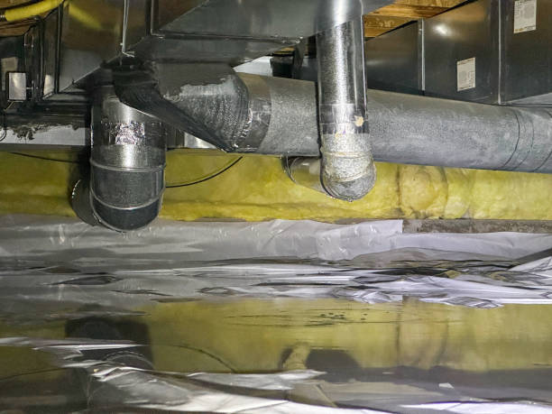 Best 24-hour water damage restoration  in Mount Olive, MS